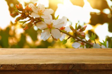 Bahar kiraz ağacı önünde ahşap rustik masa