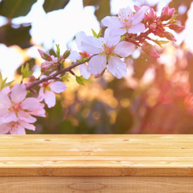 Bahar kiraz ağacı önünde ahşap rustik masa