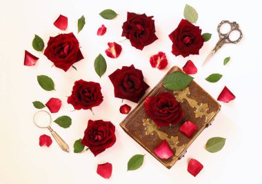 Görüntü izole beyaz zemin üzerine kırmızı gül