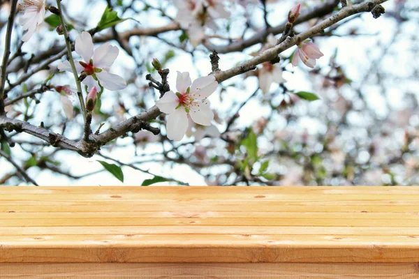Trä bord framför våren cherry tree — Stockfoto