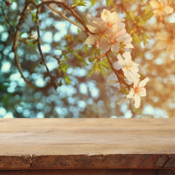 Table en bois devant cerisier — Photo