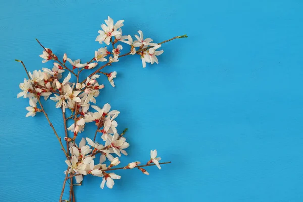 Изображение весеннего цветения белой вишни — стоковое фото