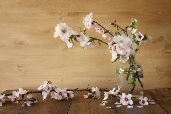 Branches with flowers in glass jug — Stock Photo, Image