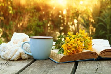 eski kitap, kahve yanındaki alan çiçek