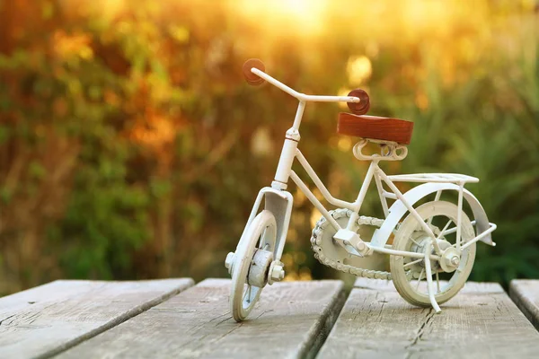 Старовинна велосипедна іграшка чекає на відкритому повітрі в саду — стокове фото