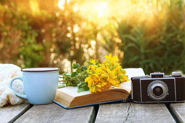 Livro velho, câmera de fotos vintage ao lado de flores de campo — Fotografia de Stock