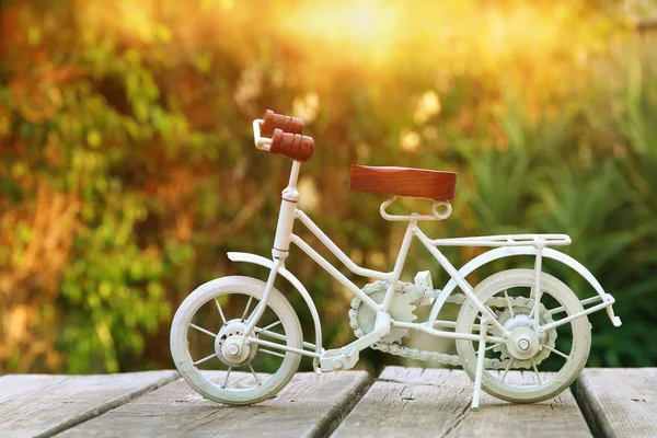 빈티지 자전거 장난감 야외 정원에서 기다리고 — 스톡 사진
