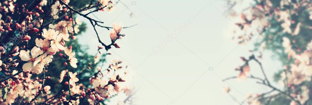 Abstract banner background of cherry tree