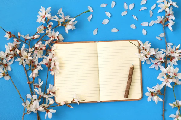 Bovenaanzicht afbeelding van lente wit kersenbloesem boom — Stockfoto