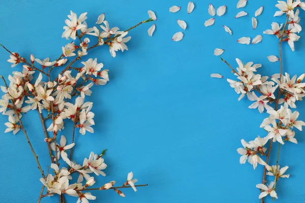 Image of spring white cherry blossoms tree — Stock Photo, Image