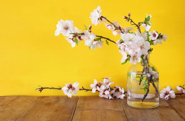 Ramo de primavera de ramas de cerezo — Foto de Stock