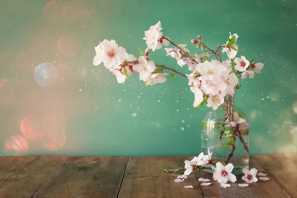 벚꽃 나무 가지 봄 부케 — 스톡 사진