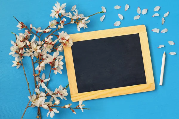 Kiraz çiçekleri ağaç bahar ve yazı tahtası — Stok fotoğraf