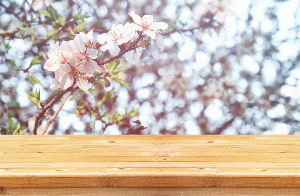 Cherry tree flowers