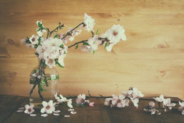 kiraz ağacı çiçek