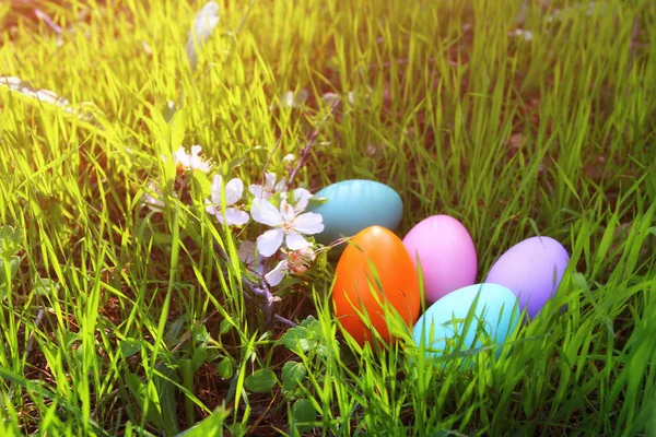 Ostereier auf dem grünen Gras — Stockfoto