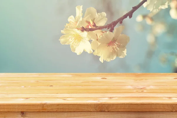Mesa de madeira na frente da árvore de cereja primavera . — Fotografia de Stock