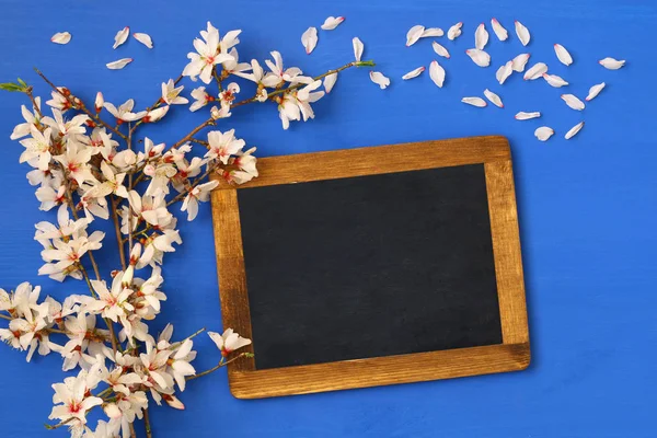 Kiraz çiçekleri ağaç ve yazı tahtası — Stok fotoğraf