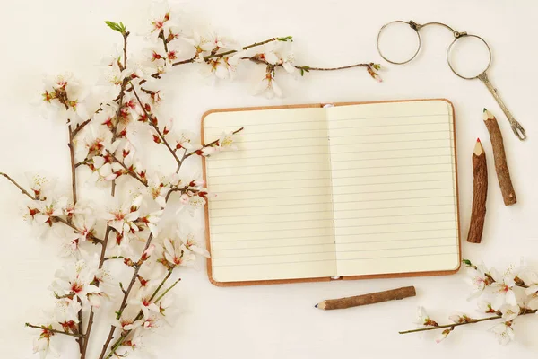 Весенняя белая вишня цветет дерево и открытая тетрадь — стоковое фото