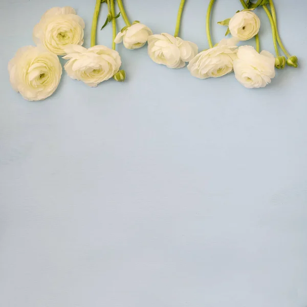 Image of spring white flowers on wooden background — Stock Photo, Image