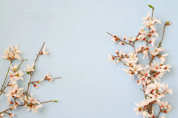 Bild des Frühlings weiße Kirsche blüht Baum — Stockfoto