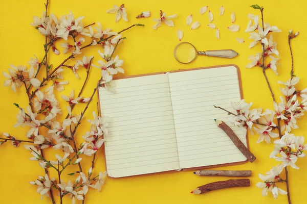 Vita körsbärsblommor träd och öppna anteckningsbok — Stockfoto