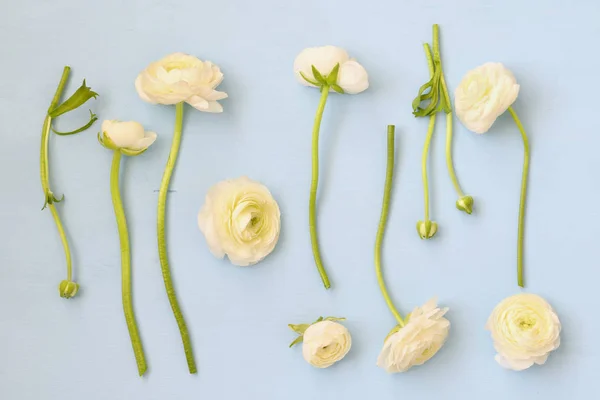 Weiße Blumen auf hölzernem Hintergrund. flache Lage — Stockfoto