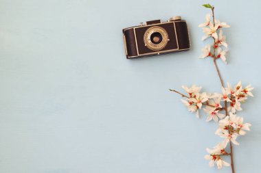kiraz çiçekleri ağacın eski fotoğraf makinesi