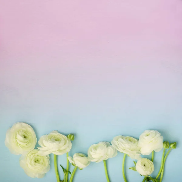 Bild av vita vårblommor på trä bakgrund — Stockfoto