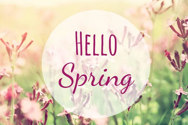 Abstracte dromerige foto van voorjaar wilde bloemen — Stockfoto