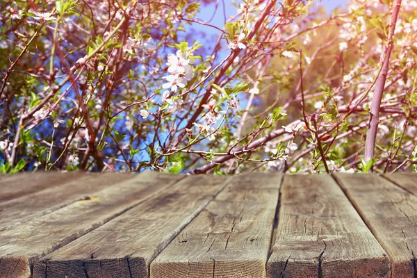 Mesa rústica de madeira na frente da árvore de cereja primavera — Fotografia de Stock