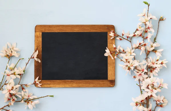 Spring white cherry blossoms tree and blackboard — Stock Photo, Image