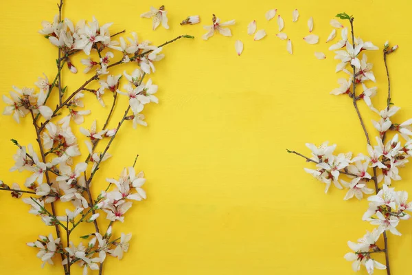 Белая вишня цветет дерево на деревянном фоне — стоковое фото