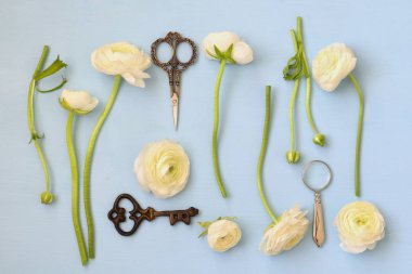 ahşap arka plan üzerinde beyaz çiçekler. düz lay