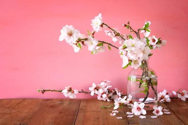 Ramo de primavera de ramas de cerezo — Foto de Stock