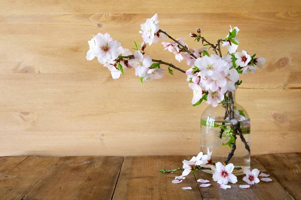 Ramo de primavera de ramas de cerezo — Foto de Stock