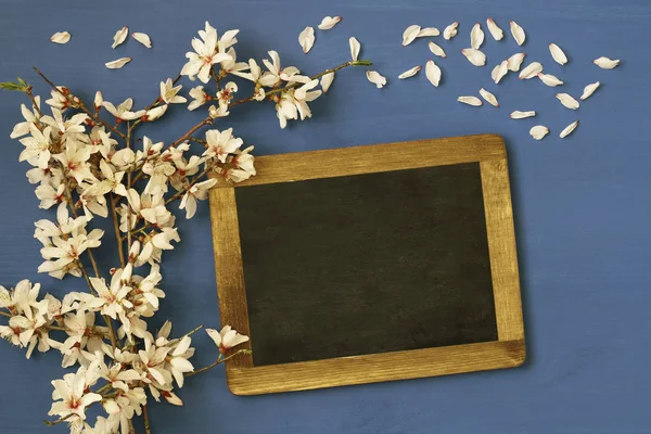 Körsbär blommar trädet och blackboard — Stockfoto
