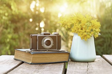 eski kitap, vintage fotoğraf makinesi yanında alan çiçek