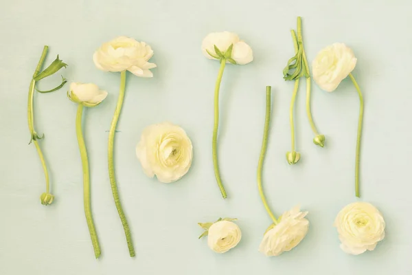 Witte bloemen op houten achtergrond. plat lag — Stockfoto