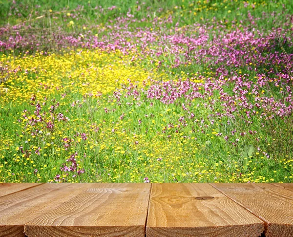 Весна красивые полевые цветы — стоковое фото