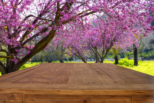 Trä bord framför våren vit körsbär blommar trädet — Stockfoto