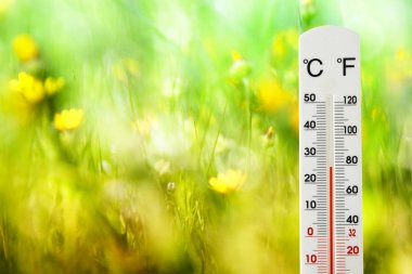 Hava değişikliği gösteren çiçek alan, termometre