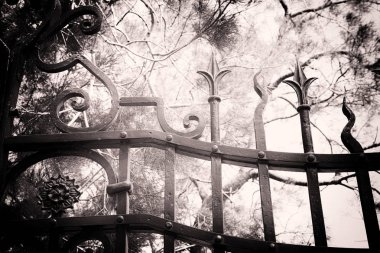 Bahçe kapalı kapılar arkasında siyah beyaz resim