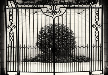 Bahçe kapalı kapılar arkasında siyah beyaz resim.