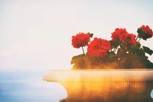 Imagem da vista de varanda de marina, vaso de flor velho — Fotografia de Stock