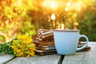 Resmi Defter, alan çiçek yanındaki renkli kalemler