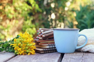 Resmi Defter, alan çiçek yanındaki renkli kalemler