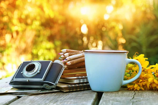 Notizbücher, alte Fotokameras, bunte Bleistifte neben Feldblumen — Stockfoto