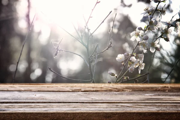 Mesa de madera frente a la primavera árbol de flores de cerezo blanco —  Fotos de Stock