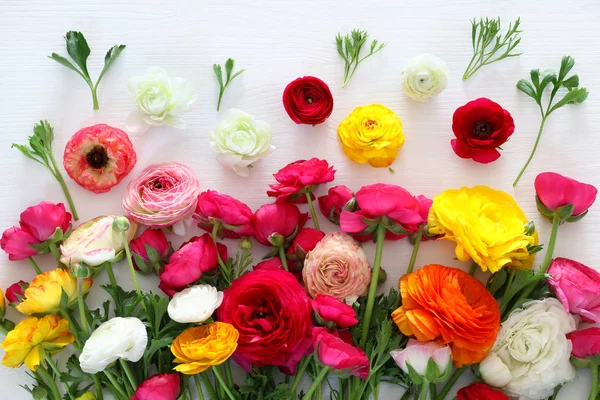 아름 다운 꽃 배열의 상위 뷰 — 스톡 사진